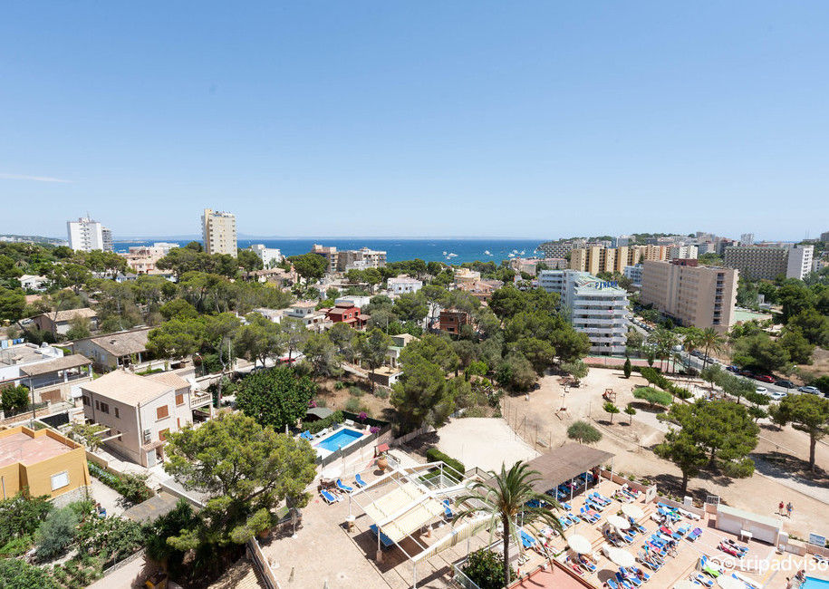 Globales Mimosa Otel Palmanova Dış mekan fotoğraf