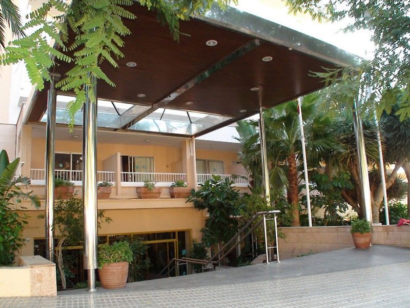 Globales Mimosa Otel Palmanova Dış mekan fotoğraf